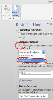 MS Word Editing Restrictions